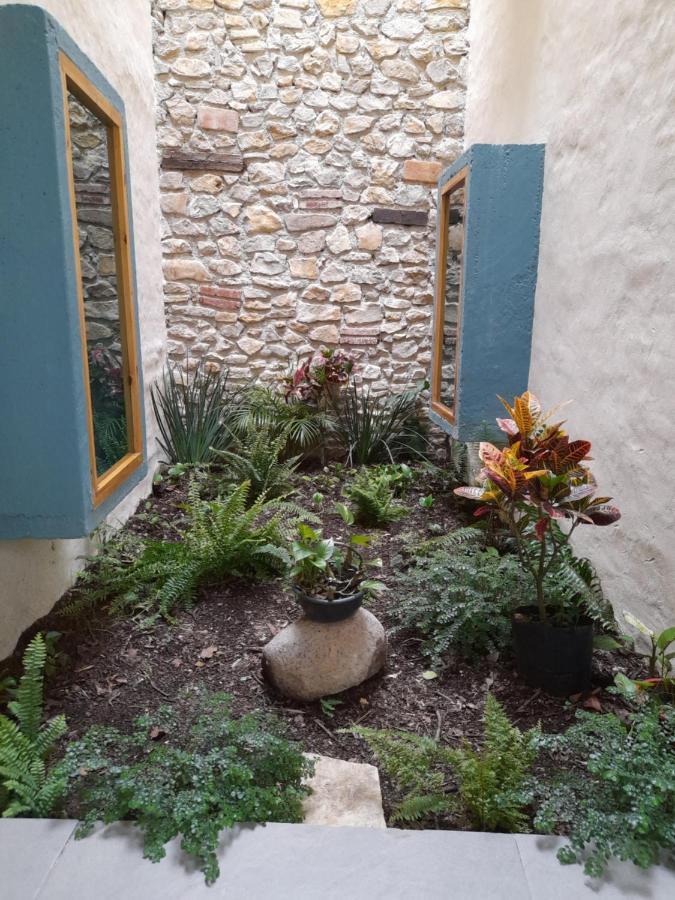 Hotel Pepen San Cristóbal de Las Casas 외부 사진